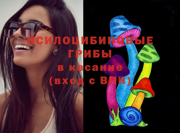 сатива Абаза