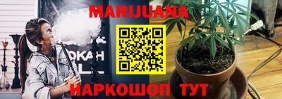 индика Абакан
