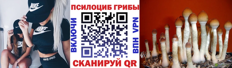 Галлюциногенные грибы прущие грибы Алексин