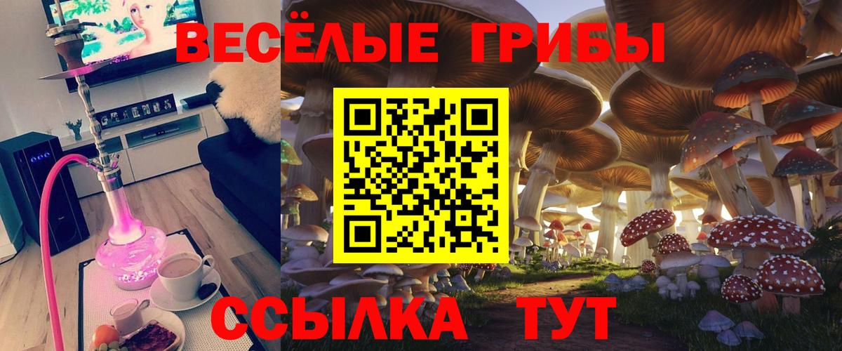 Псилоцибиновые грибы мицелий  Вход с VPN  Алексин 