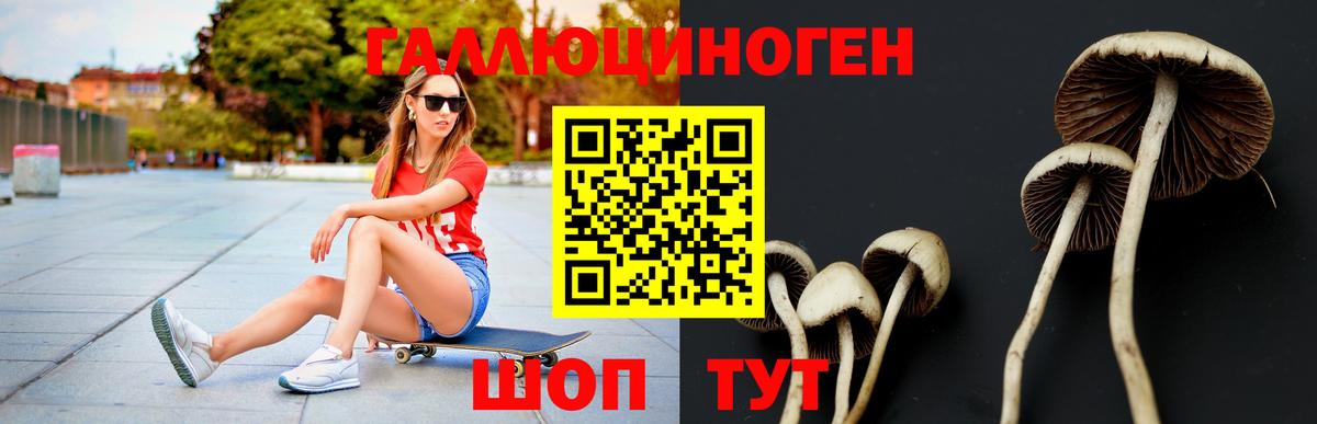 Псилоцибиновые грибы Psilocybine cubensis Алексин