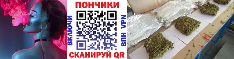 Бошки марихуана Bruce Banner  ссылка на мегу онион  Алексин 
